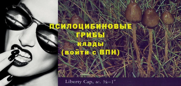 спайс Аркадак
