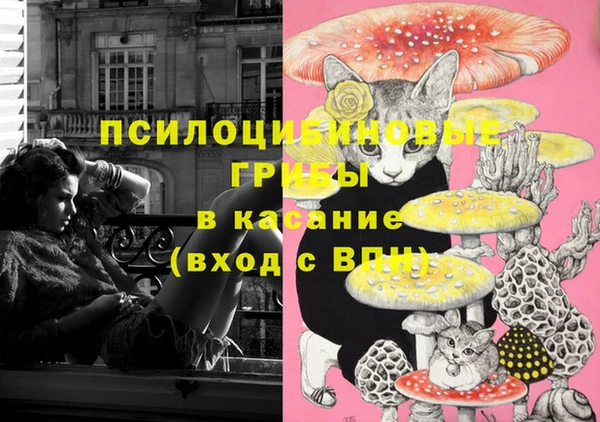 герыч Осинники