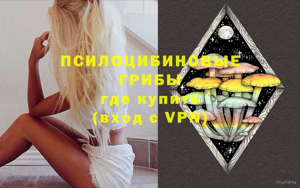 СК Валдай